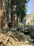 IMG_3992