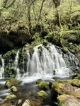 IMG_3994
