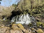 IMG_3997