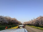 IMG_4052