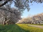 IMG_4055