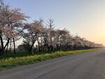 IMG_4058