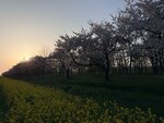 IMG_4059