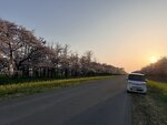 IMG_4060