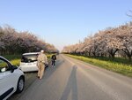 IMG_4061
