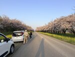 IMG_4062