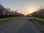 IMG_4063