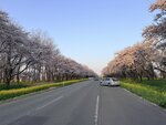 IMG_4065