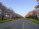IMG_4066