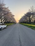 IMG_4082