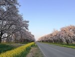 IMG_4083