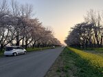 IMG_4084