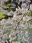IMG_20260420_144952