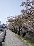 IMG_20260420_145014