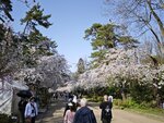 IMG_20260420_150401