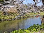 IMG_20260420_150904