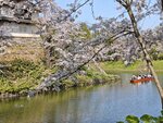 IMG_20260420_150910