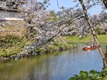 IMG_20260420_150915