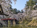 IMG_20260420_150951