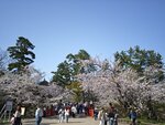IMG_20260420_151543