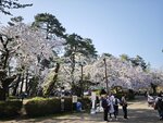 IMG_20260420_152036