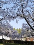IMG_20260420_152607