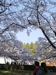 IMG_20260420_152706