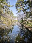 IMG_20260420_152910