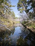 IMG_20260420_152912