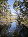 IMG_20260420_152917
