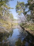 IMG_20260420_152927