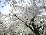 IMG_20260420_153240
