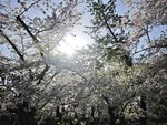 IMG_20260420_153302