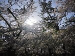 IMG_20260420_153305