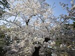 IMG_20260420_153314