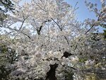IMG_20260420_153319