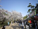 IMG_20260420_154813