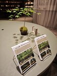 IMG_20260420_220433