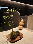 IMG_20260420_221615