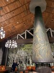 IMG_4434