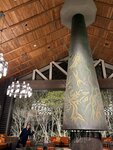 IMG_4435