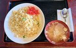 IMG_4586