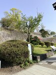 IMG_4667
