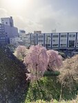 IMG_4670