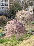 IMG_4671