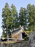IMG_4674