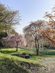 IMG_4678