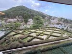 IMG_4688