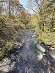 IMG_4814