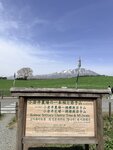 IMG_4817